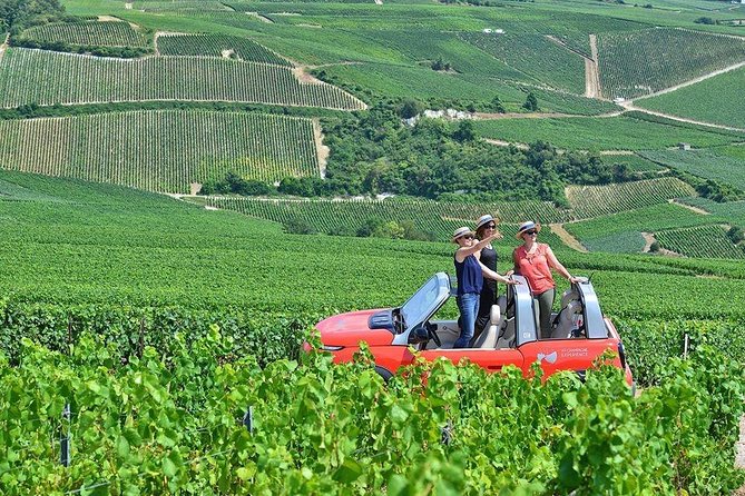 The Must-sees 3h30 from Epernay (Private Half day Champagne Tour) - The Marne Valley view and the family producer