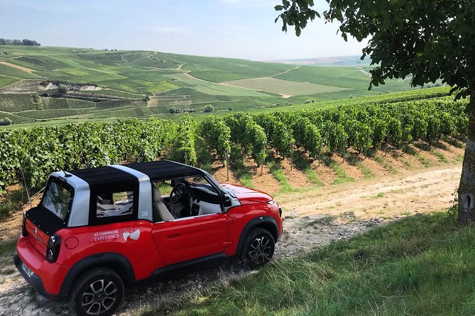 The Must-sees 3h30 from Epernay (Private Half day Champagne Tour) - Aÿ-Champagne, Pinot Noir, and old royal presses