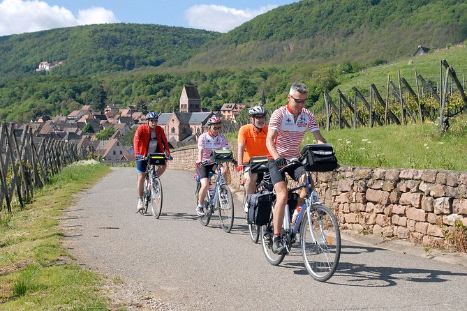 Through Alsace Vineyards and Wine Villages Private Bike Tour - Six things to know before you book