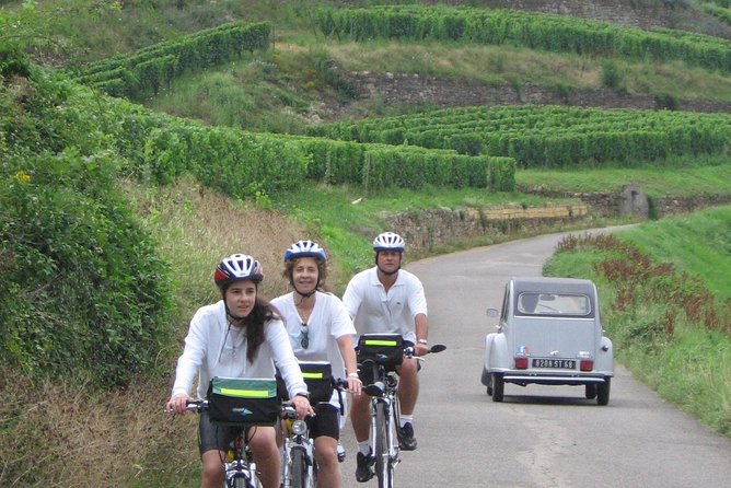 Through Alsace Vineyards and Wine Villages Private Bike Tour - Why a private bike tour works so well here