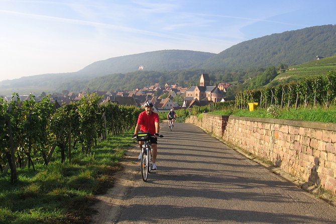 Through Alsace Vineyards and Wine Villages Private Bike Tour - The ride through Alsace Grand Cru vineyards