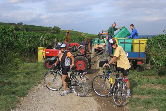 Through Alsace Vineyards and Wine Villages Private Bike Tour - E-bike comfort, safety, and the weather question