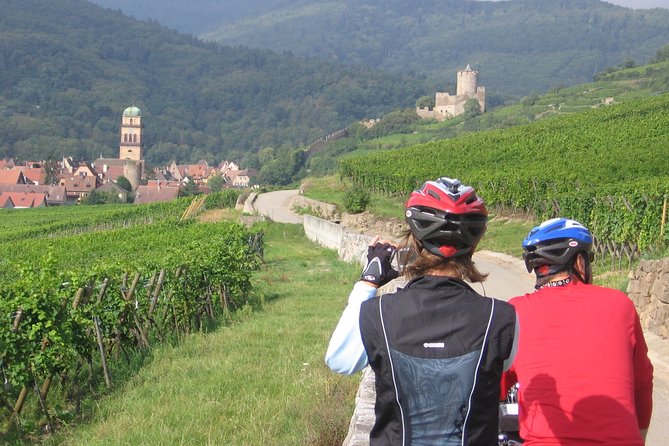 Through Alsace Vineyards and Wine Villages Private Bike Tour - Eguisheim: a medieval village with a practical caveat