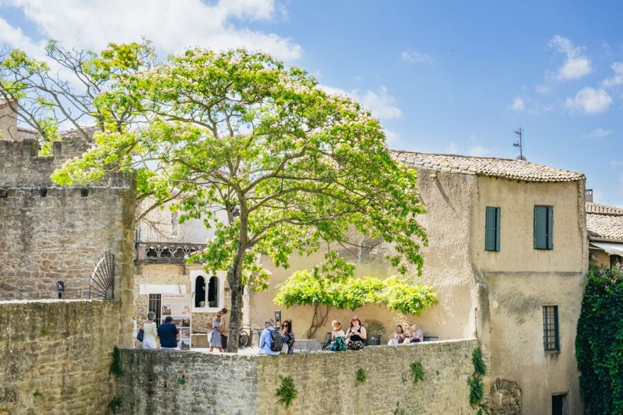Toulouse: Carcassonne Day Trip by Coach with Audioguide - Using the Henri Trip audio guide
