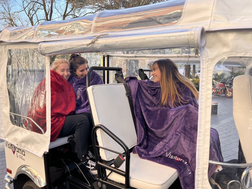 Toulouse: Electric Tuk-Tuk Tour with Photo Stops and Audio - Comfort, weather, and access
