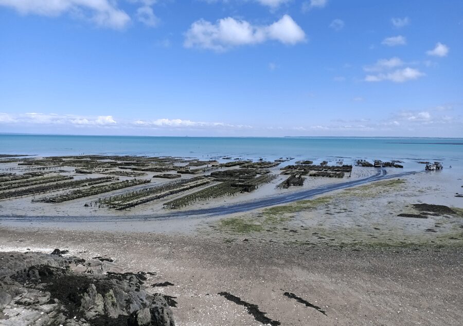 Tour from Rennes : Mont Saint-Michel & Cancale & Saint-Malo - What Quentin adds to the day