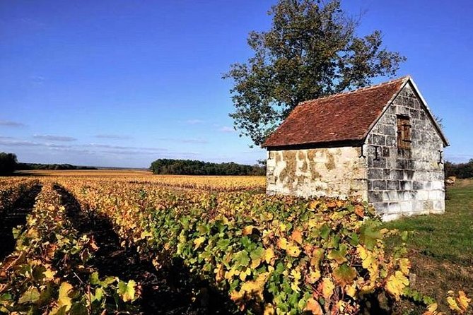 Touraine-Chenonceau private tour - Why this private Loire day works