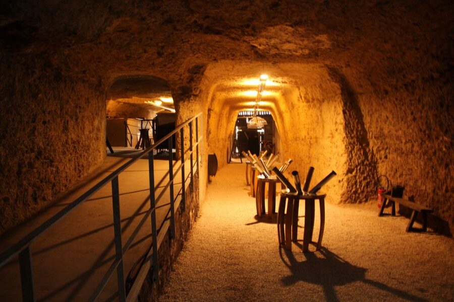 Tours/Amboise: Chambord, Chenonceau Day Trip & Wine Tasting - Amboise and Les Caves Ambacia: The Day’s Best Change of Pace