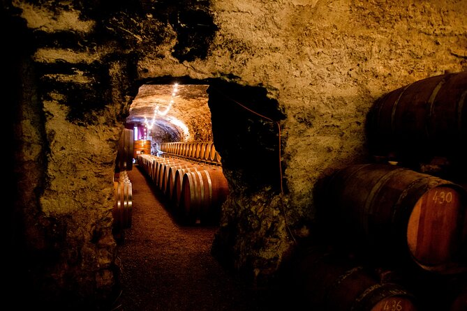 Unusual visit & Tasting of our organic wines - Château de Luc and fourteen generations of wine