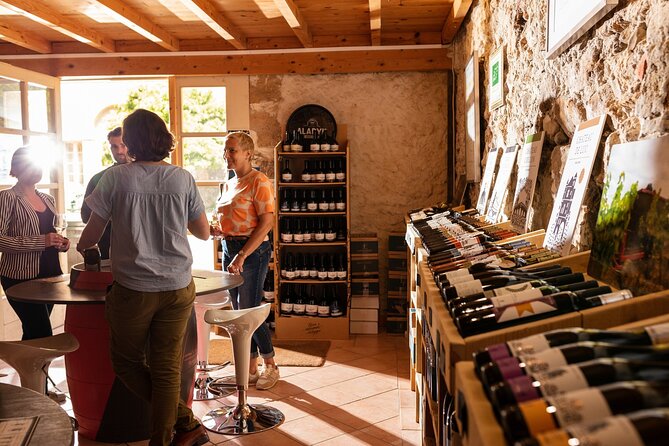Unusual visit & Tasting of our organic wines - The value of a one-hour private visit
