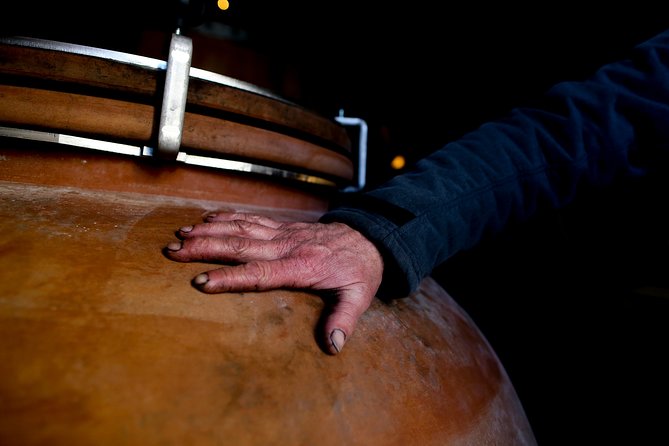 Unusual visit & Tasting of our organic wines - Beneath the château in the 15th-century cellar