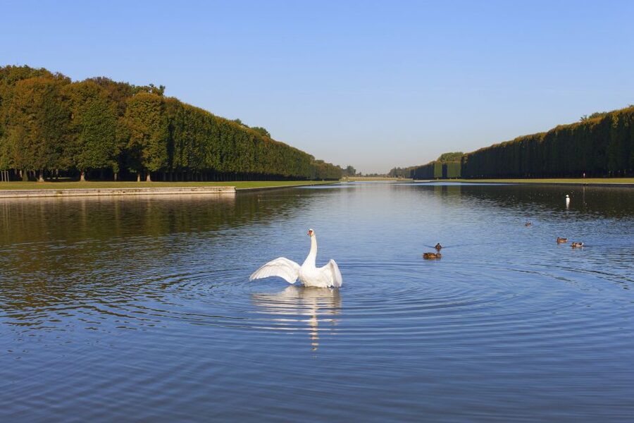 Versailles: Skip-the-Line Guided Tour of Palace with Gardens - Who will get the most from this Versailles tour?