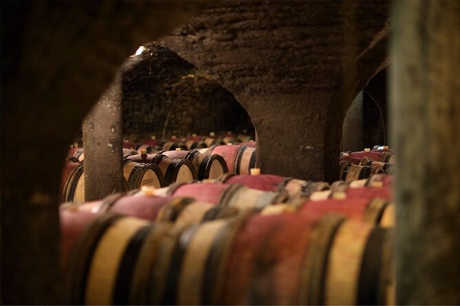 Visit of our 15th century cellars - Entering the 15th century cellars