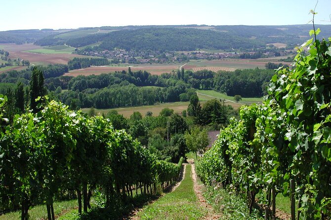 Visit-Tasting-Sale - Who will enjoy this experience most