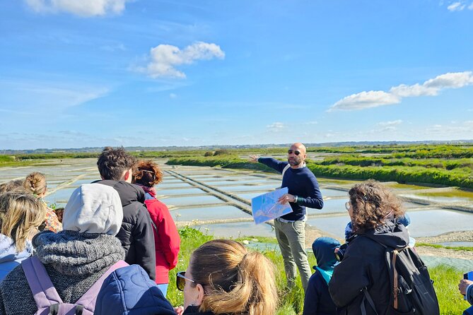 Visit to Saline - Guérande Salt Marshes - Why Guérande’s salt marshes are worth your time