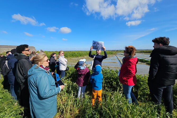Visit to Saline - Guérande Salt Marshes - Forty-five minutes among the working salt ponds