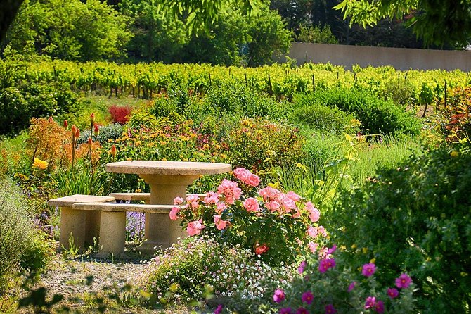 Winery Tour & Wine Tasting - Deli Plate & 3 Wines - The Decks and the End of the Visit