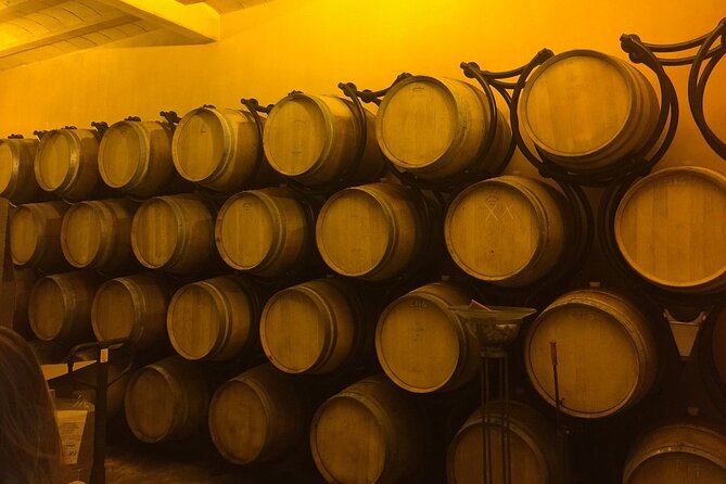 Winery Visit with Food and Wine in Carcassonne - Inside the winery and barrel room